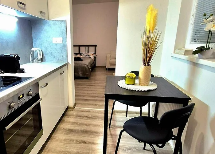 Διαμέρισμα Nadherny V Ruzinove *